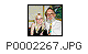 P0002267.gif