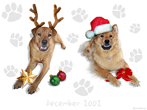 december 2002