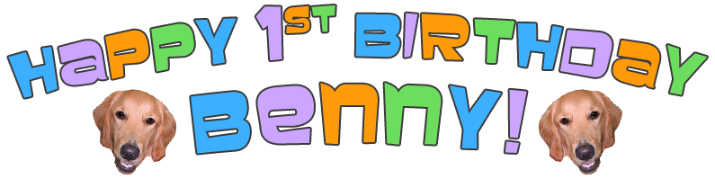 Happy 1st Birthday Benny!