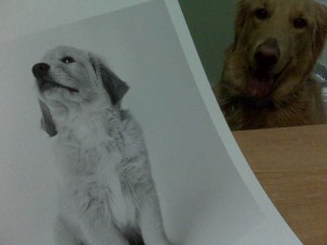 Benny's Photo