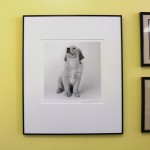Benny's Photo Hanging