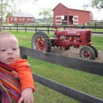 IMG_1680 IMG_1680