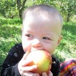 IMG_1716 IMG_1716