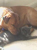 india & ivan